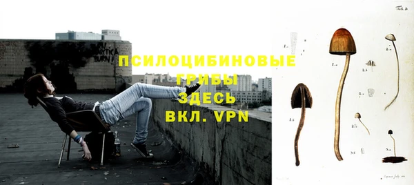 мяу мяу кристалл Богданович