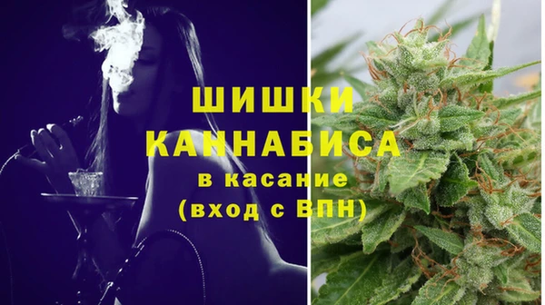 мяу мяу кристалл Богданович