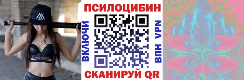 Галлюциногенные грибы Cubensis  цена   Новоуральск 
